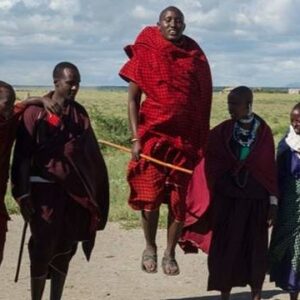 Cultural experience: Visit a Maasai village