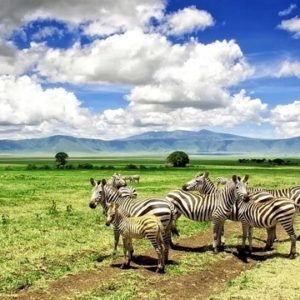10 Reasons toVisit Tanzania