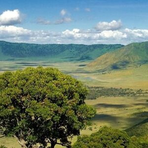 Adventure in Ngorongoro Crater