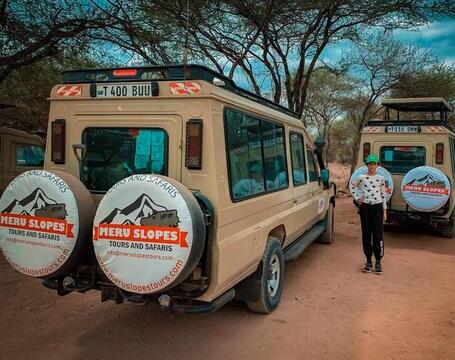 tanzania safaris tripadvisor