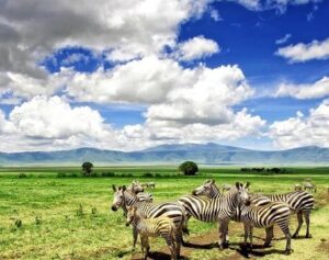 4 Days Serengeti And Ngorongoro