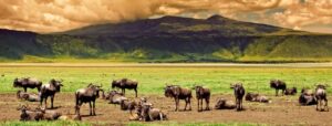 3 Days Tarangire and Ngorongoro Crater