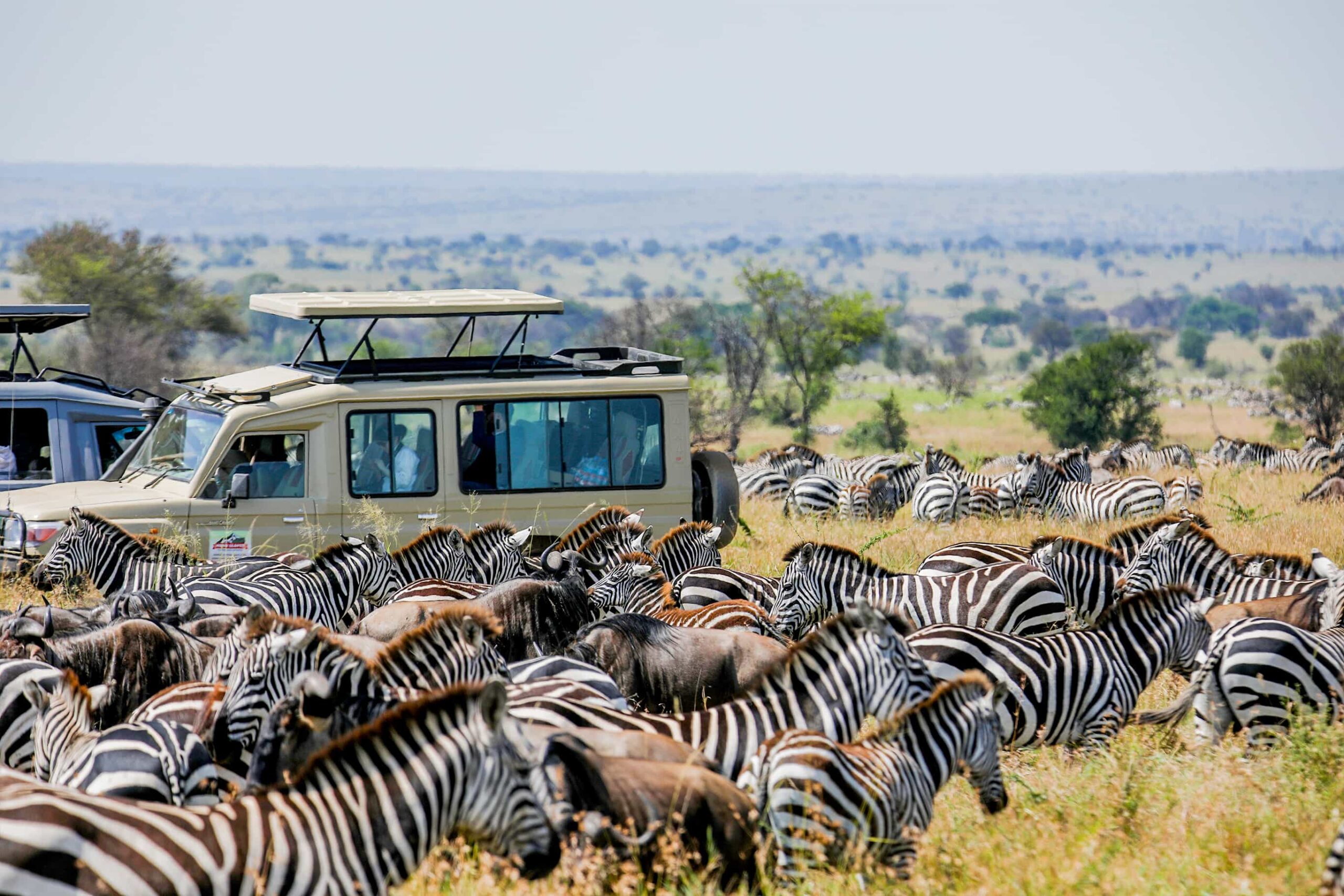 7 Days Group Safari to Serengeti Wildebeest Migration