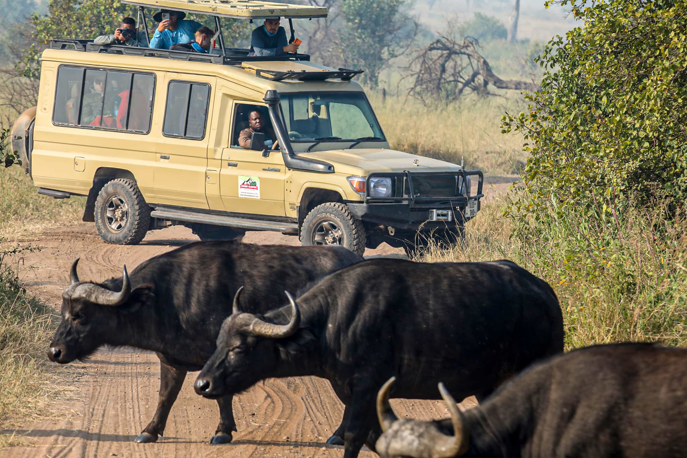 6 Days Tarangire, Serengeti, Ngorongoro Crater and Lake Manyara Mid-range Lodge Tour