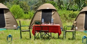 4 Days of Joining Group Camping Tour