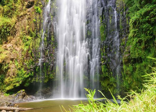 Materuni Waterfall Day Trip