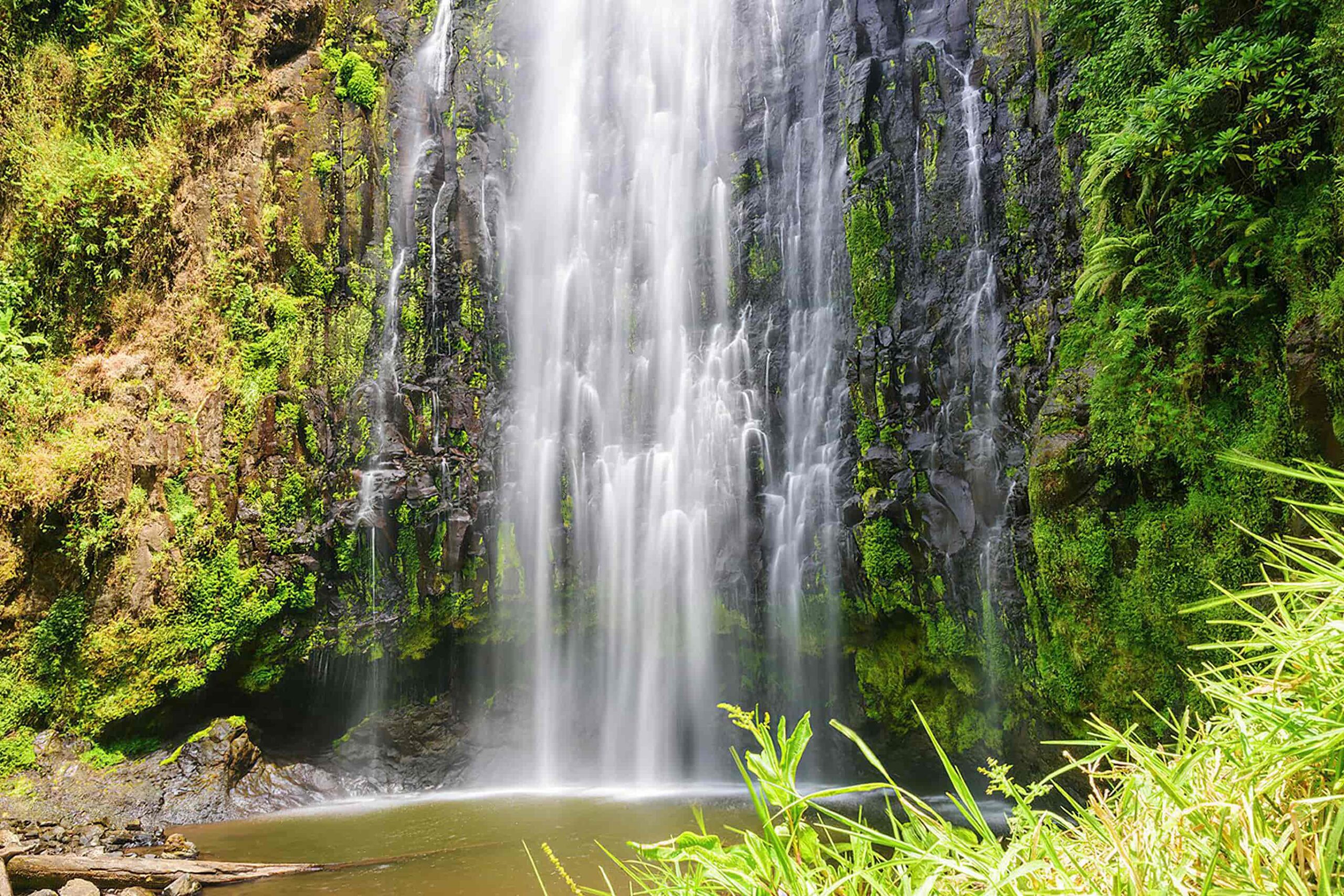 Materuni Waterfall Day Trip