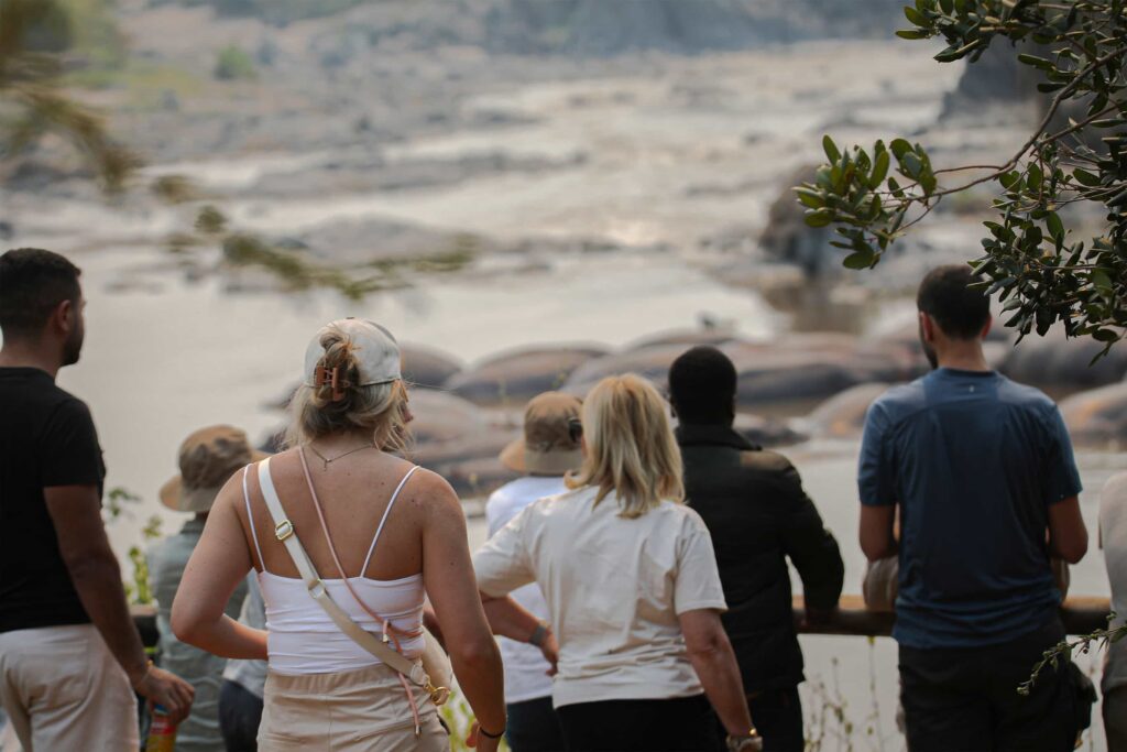 Group Safari