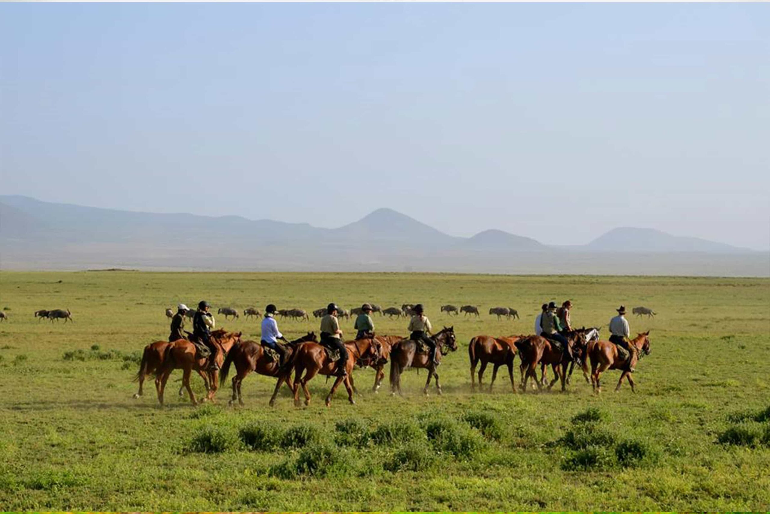 Ngorongoro Crater Day Tour