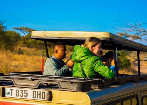 14 Days Romantic getaway Serengeti honeymoon Safari