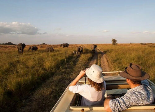 4 Days Tarangire, Lake Manyara and Ngorongoro Safari