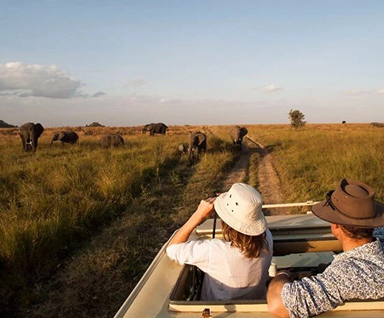 4 Days Tarangire, Lake Manyara and Ngorongoro Safari