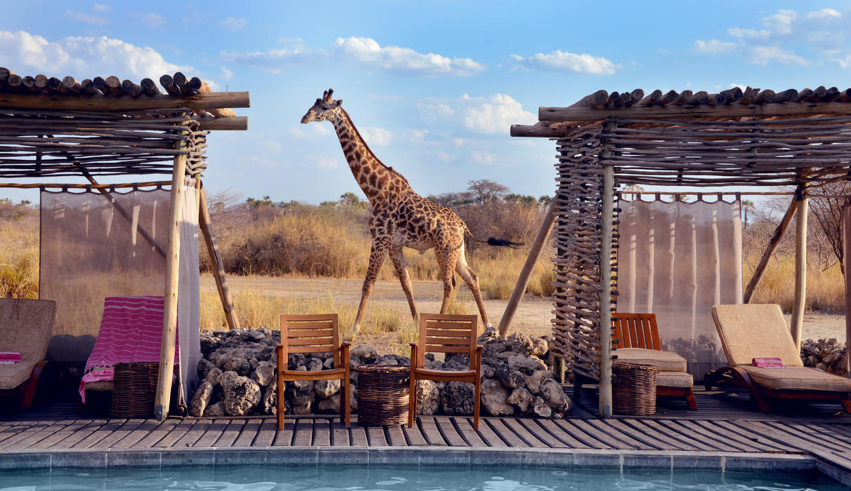 Best Honeymoon Destinations Fly-in & Fly-out safaris