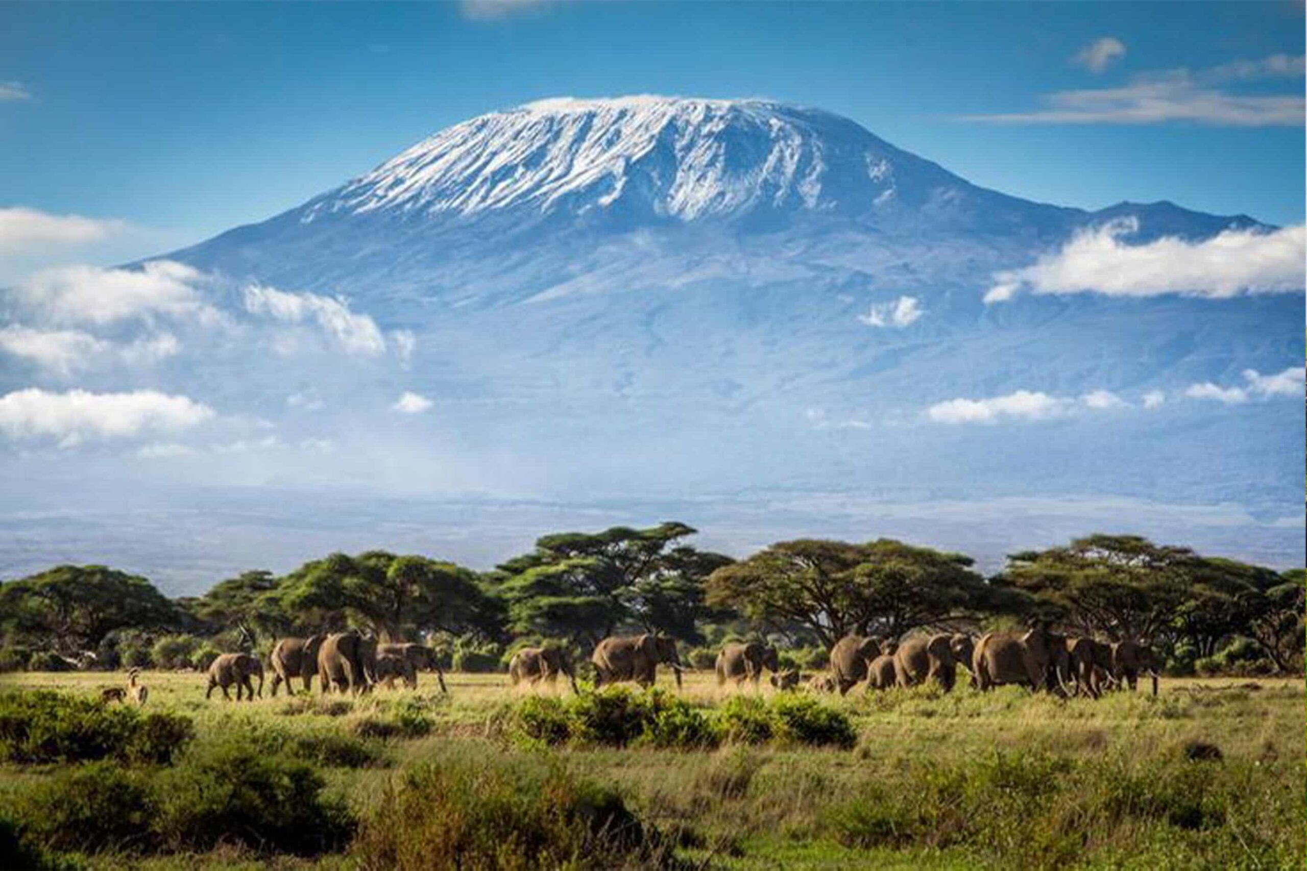 7 Days Kilimanjaro Trekking Machame Route