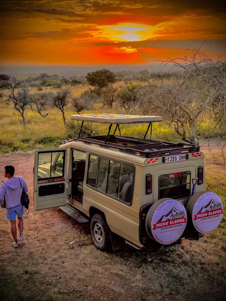 safari in Tanzania