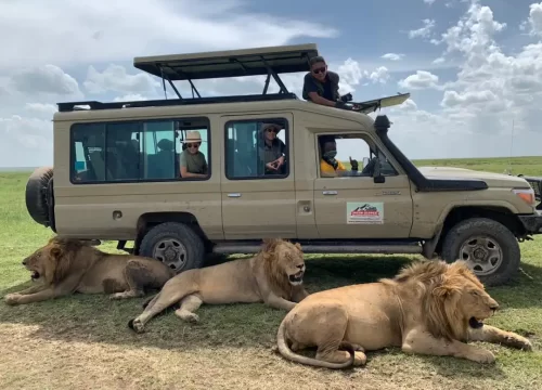 Adventure Highlights from Our Delighted Travelers