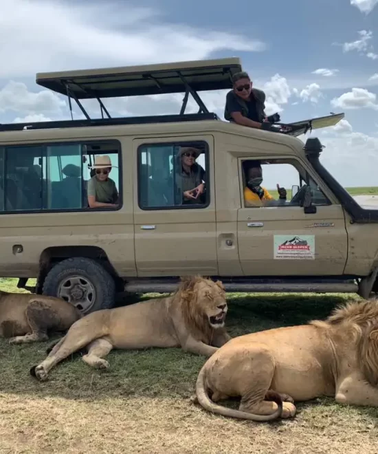 Adventure Highlights from Our Delighted Travelers