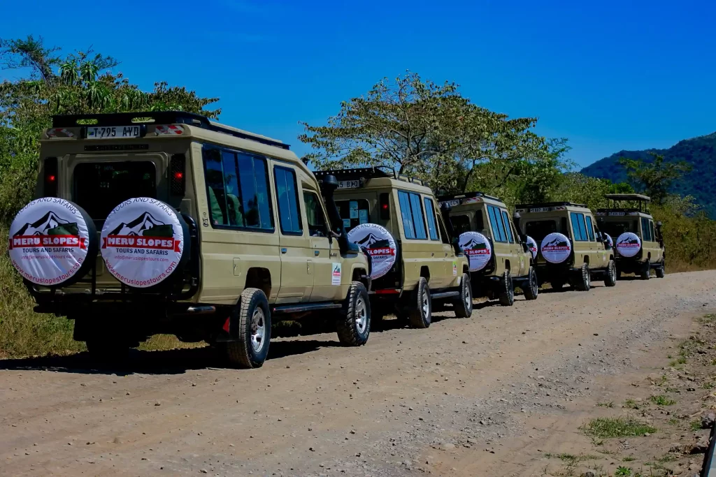 Best Safari Services