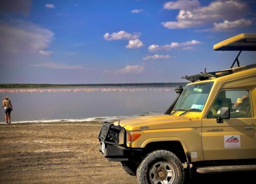 Discover Lake Natron: A Journey of Flamingos, Freedom & Scenic Beauty