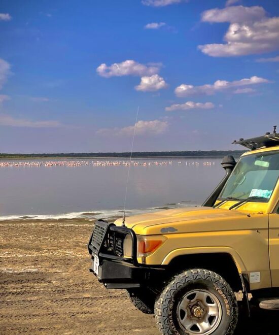 Discover Lake Natron: A Journey of Flamingos, Freedom & Scenic Beauty