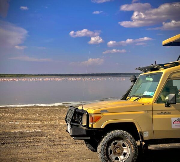 Lake Natron
