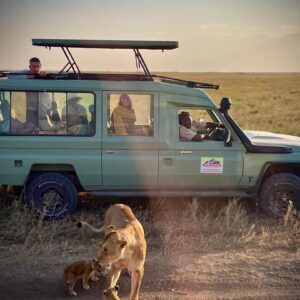 Ngorongoro Crater: Intimate Wildlife Encounters