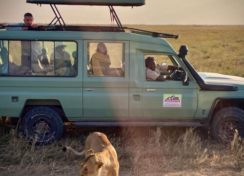 Ngorongoro Crater: Intimate Wildlife Encounters