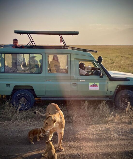 Ngorongoro Crater: Intimate Wildlife Encounters