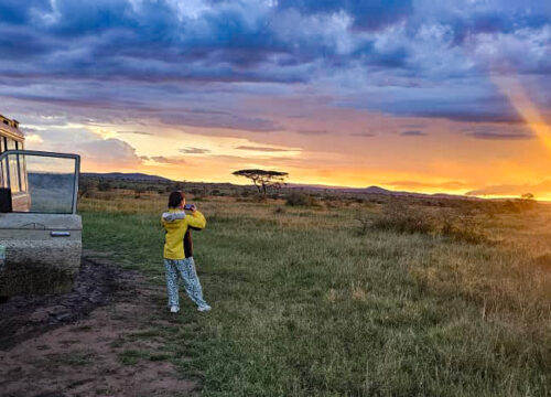 Witness the Magic of a Wildlife Safari in Tanzania