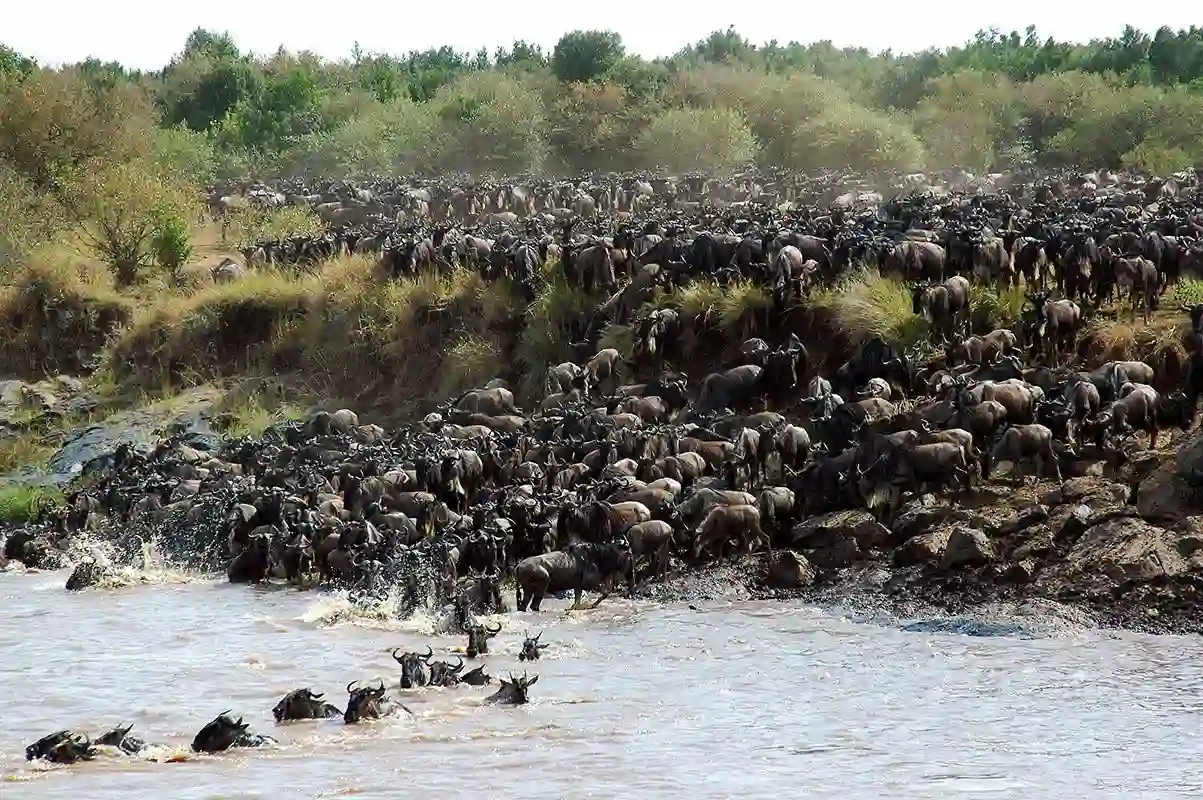 Great Migration