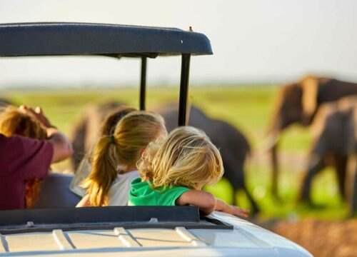 Family-Friendly Activities Across Tanzania