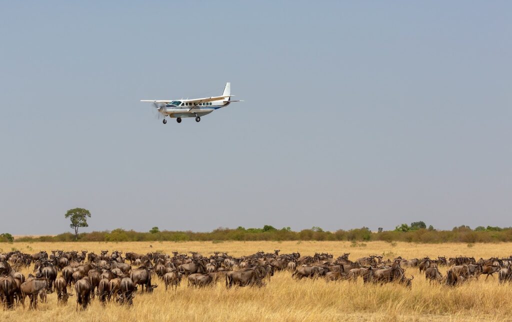 Fly-in Safaris