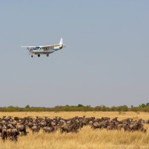 Why Fly-in Safaris Are the Best Choice for Luxury Travelers