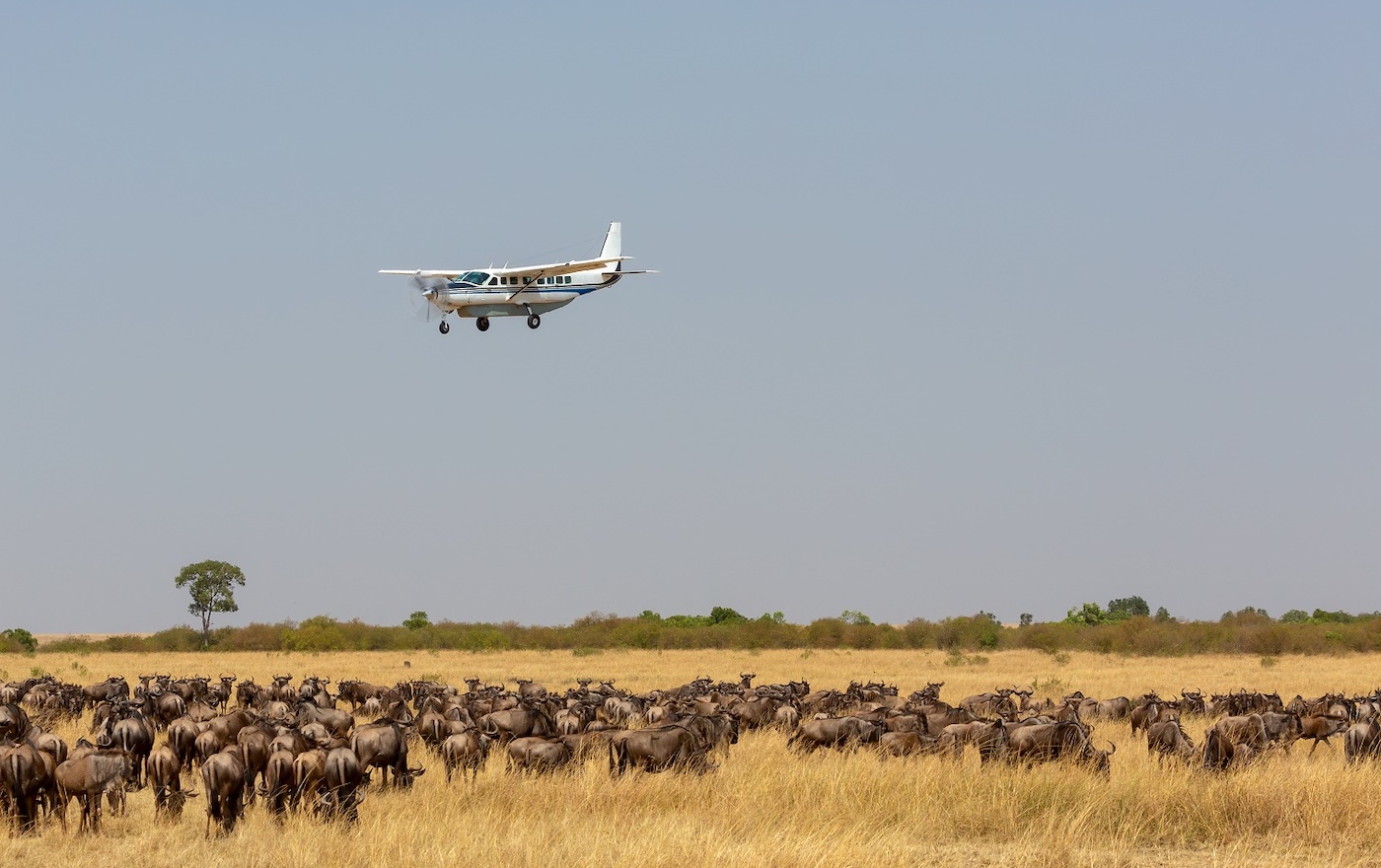 Fly-in Safaris
