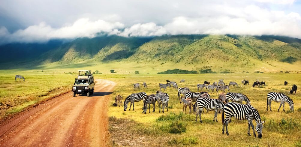 Affordable Tanzania Guided Tours
