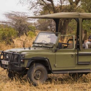 What to know before going on safari