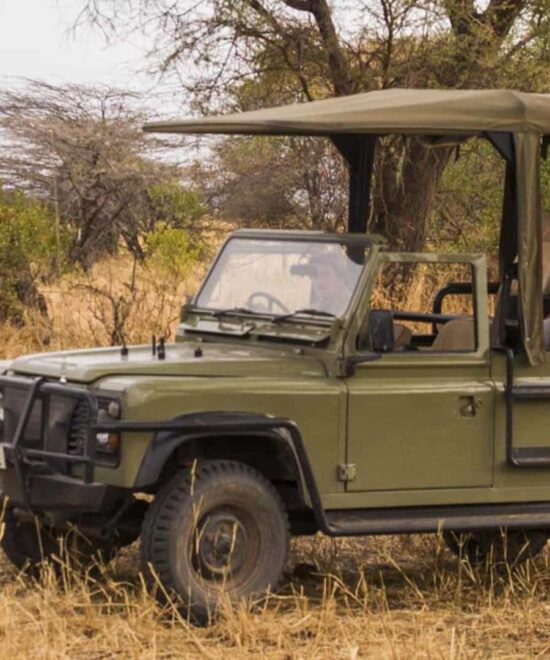 What to know before going on safari