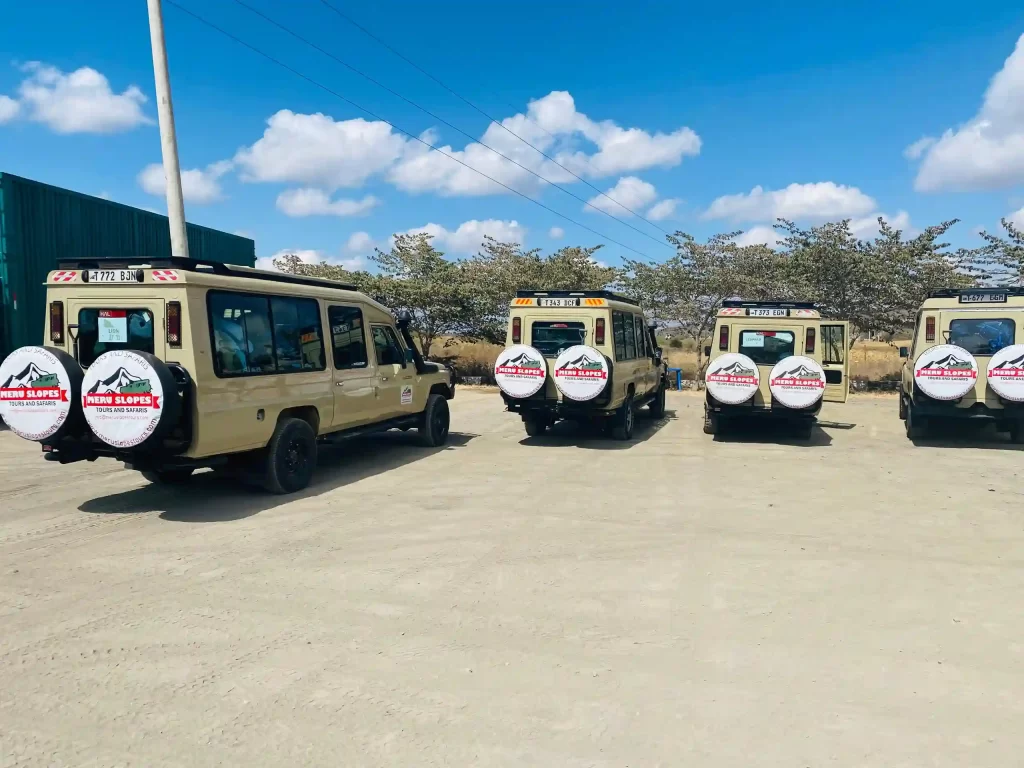 Reviews Meru Slopes Tours