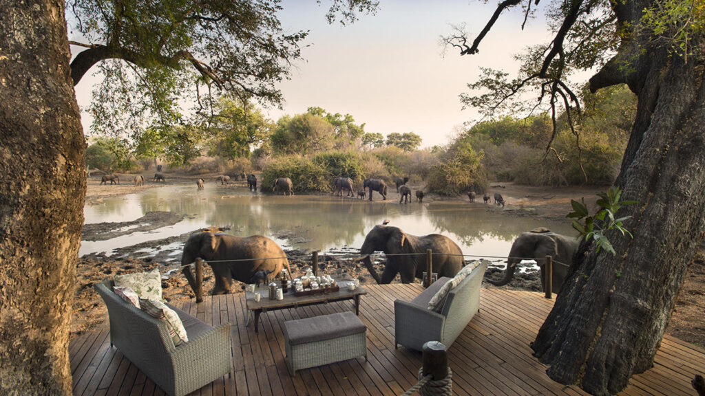 African Safari Tours