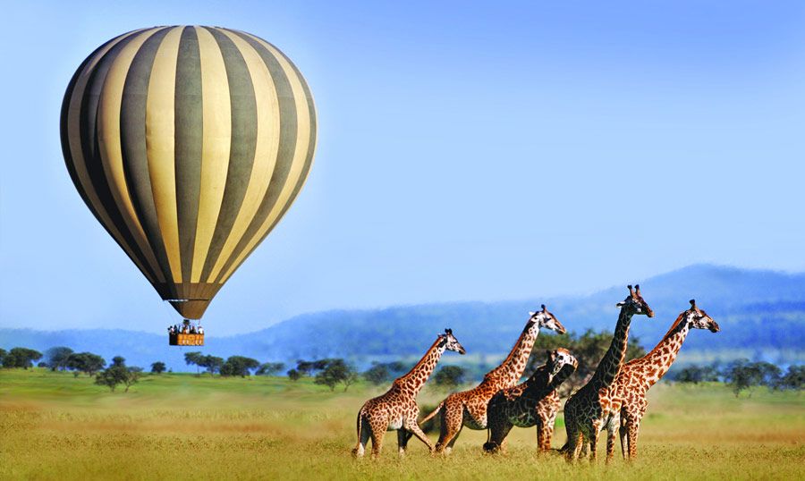 Balloon Safari