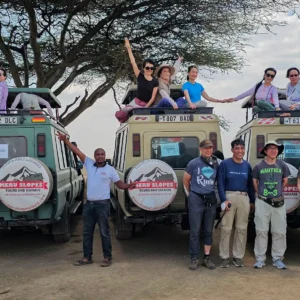 Safari Group Charter