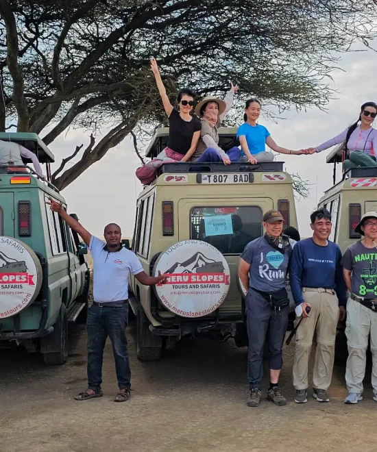 Safari Group Charter