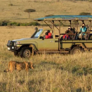 Tanzania Safari Game Drives, Your Guide to the Ultimate Safari Experience
