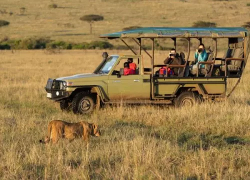 Tanzania Safari Game Drives, Your Guide to the Ultimate Safari Experience