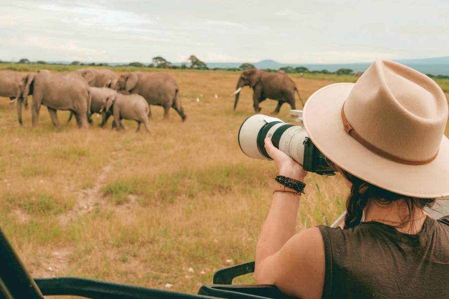 nadine safari 900