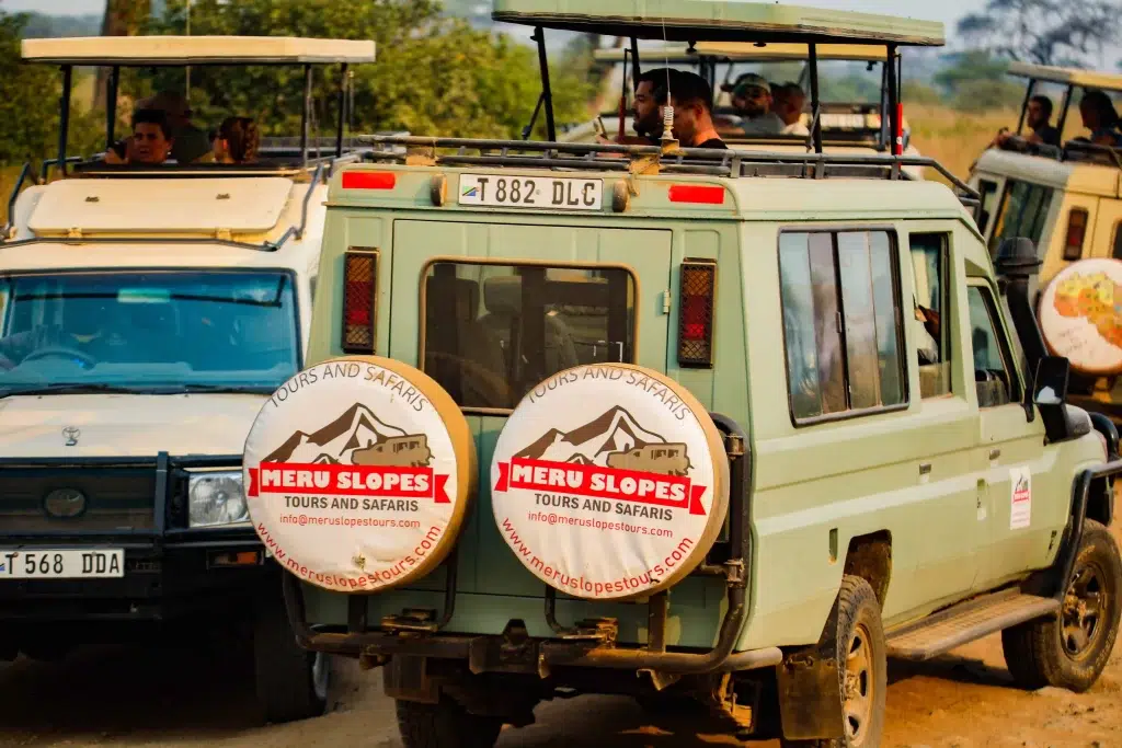 Tanzania Customized Safari