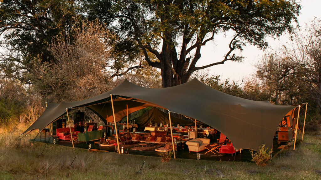 camp safari