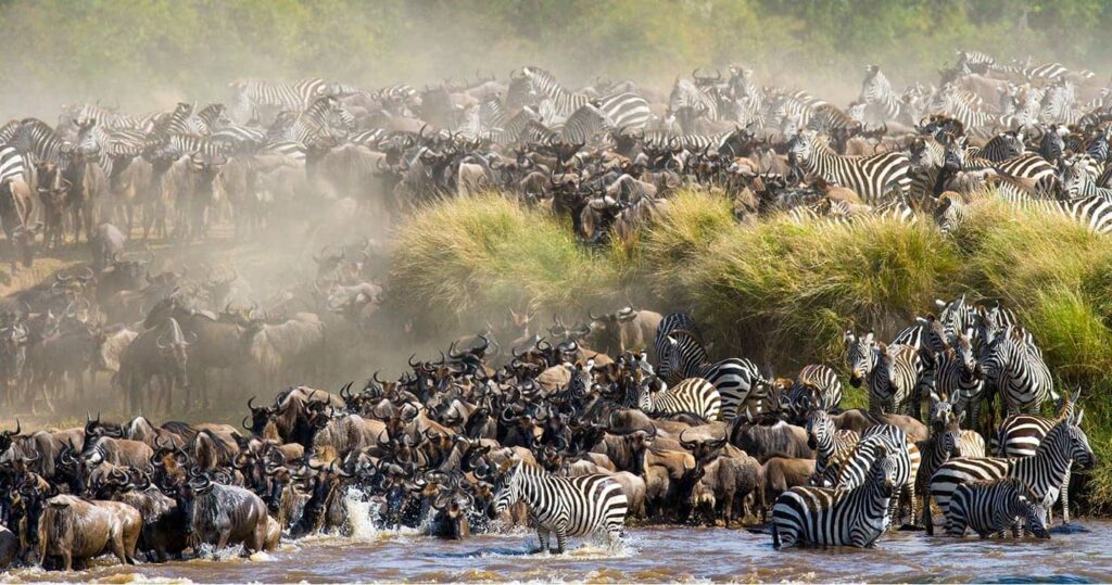 Tanzania Migration Calendar