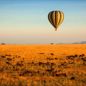Balloon and Crater Combo Safari | Unforgettable Serengeti & Ngorongoro Adventure