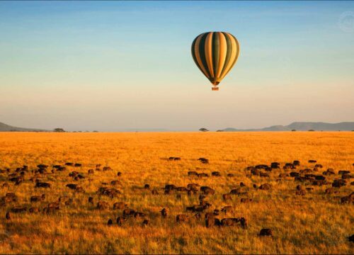 Balloon and Crater Combo Safari | Unforgettable Serengeti & Ngorongoro Adventure